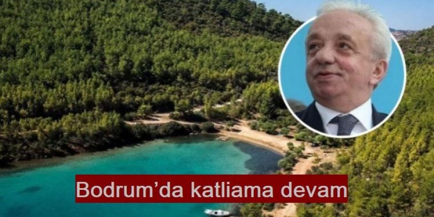 Bodrum’da katliama devam!