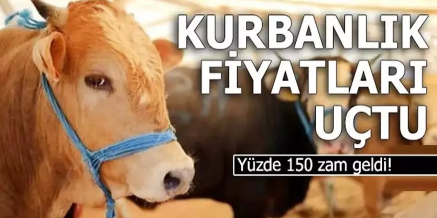 Kurban Fiyatları Uçtu