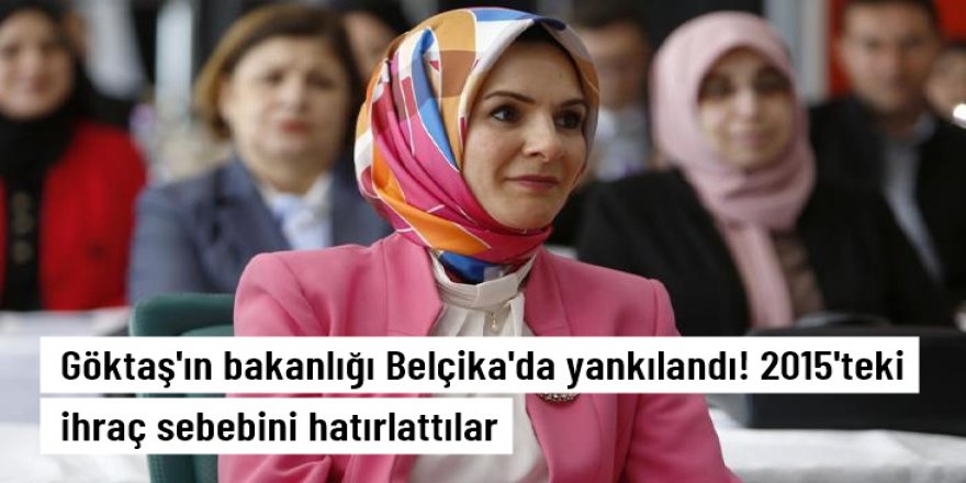 Göktaş'ın bakanlığı Belçika'da yankılandı!