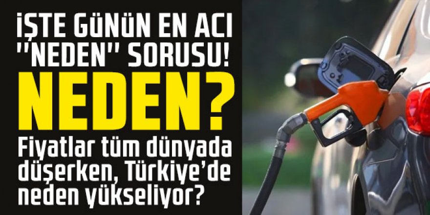 Fiyatlar tüm dünyada düşerken, Türkiye’de neden yükseliyor?