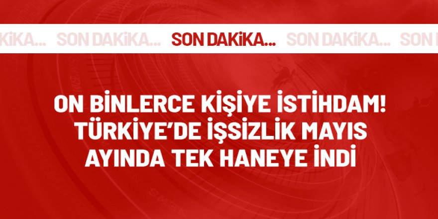 Türkiye'deki işsizlik oranı mayıs ayında yüzde 9,5'e indi