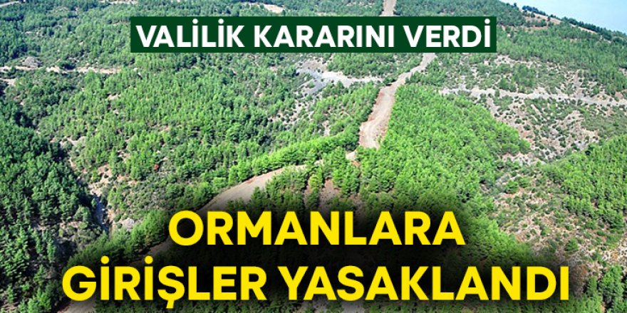 Erzurum'da ormanlık alanlara girişler yasaklandı