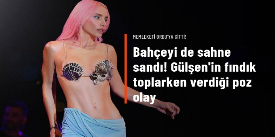 Ordu'ya giden Gülşen fındık bahçesine girdi!