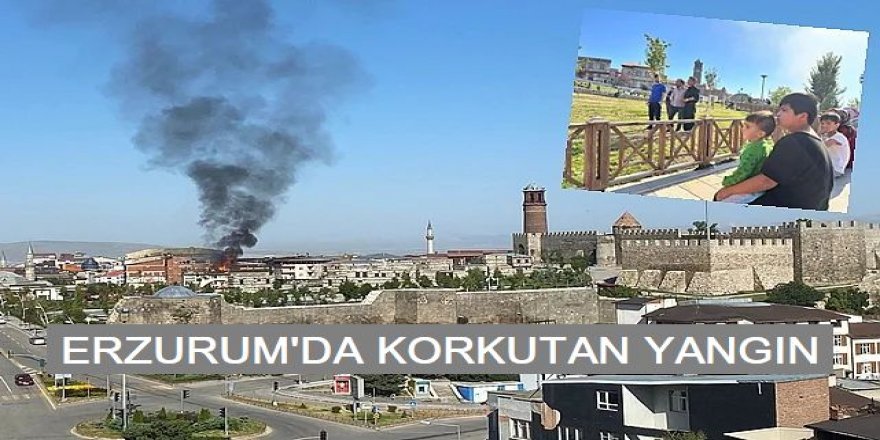 Erzurum'da korkutan yangın! Yanan evlerini böyle izlediler