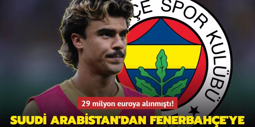 Arabistan'dan Fenerbahçe'ye! 29 milyon euroya alınmıştı!