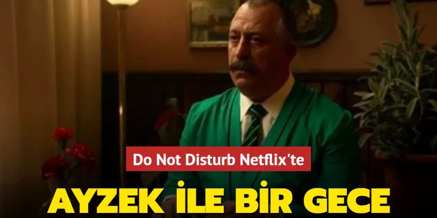 Cem Yılmaz'ın yazıp yönettiği Do Not Disturb Netflix'te