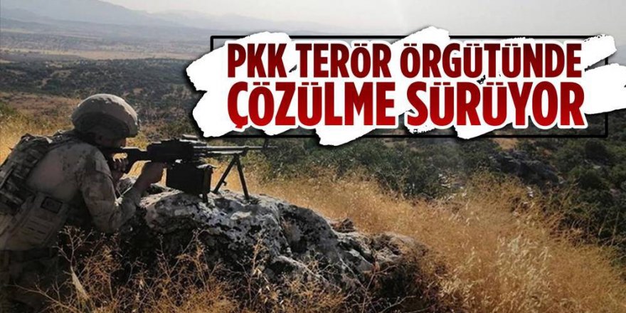 Erzurum Jandarması ikna etti: Bir PKK'lı daha teslim oldu