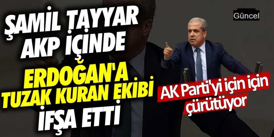 Şamil Tayyar Erdoğan'a tuzak kuranlar var demişti! AKP'deki 3 ismin kim olduğu deşifre oldu