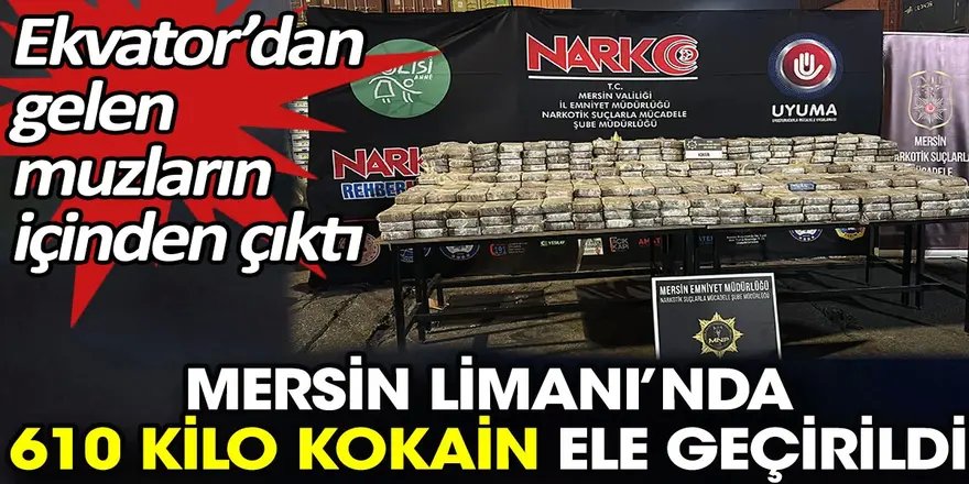 Mersin Limanı'nda 610 kilogram kokain ele geçirildi