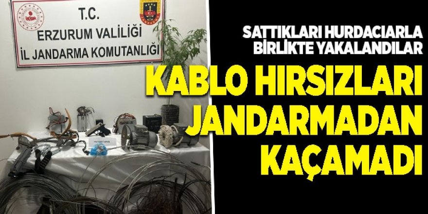 Baz İstasyonundan kablo çaldılar: Erzurum Jandarmasından kaçamadılar