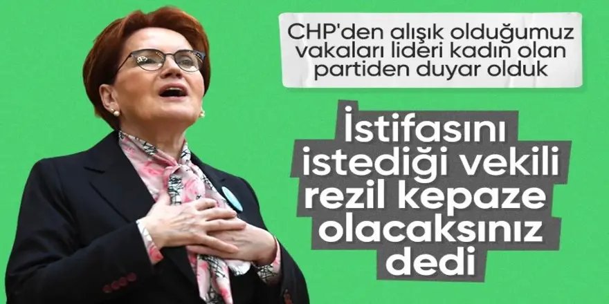 Ümit Dikbayır, Meral Akşener'e rest çekti: 'Anlattığımda rezil, kepaze olacaklar'