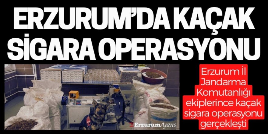 Erzurum'da binlerce paket kaçak sigara Jandarmaya takıldı!