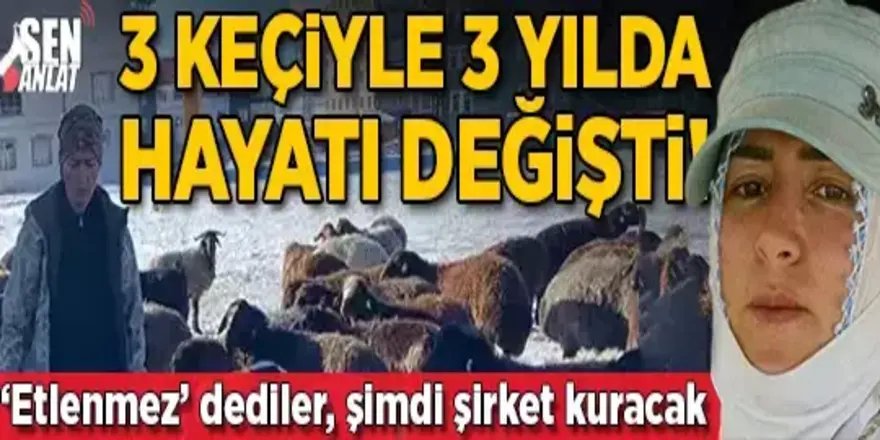 3 keçiyle başladı, 3 yılda hayatı değişti! 'Etlenmez' dediler, şimdi şirket kuracak