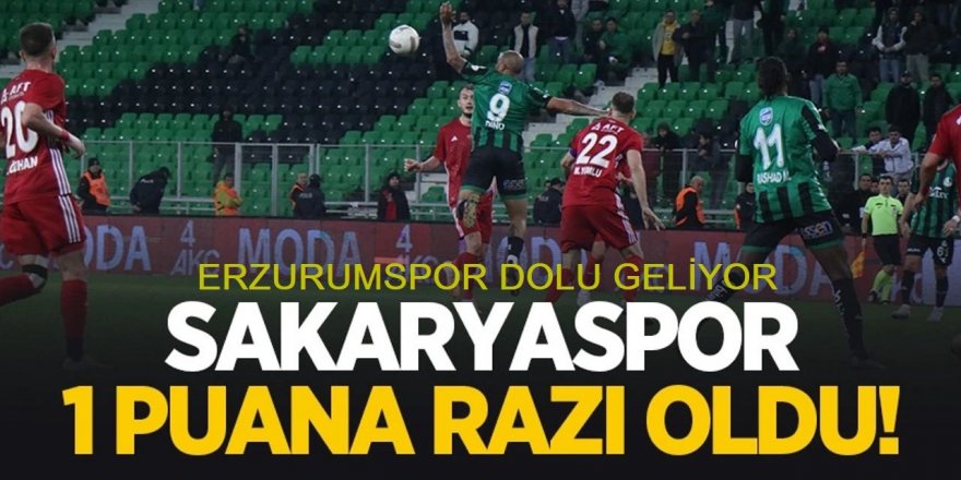 Sakarya'da 4 gol var, kazanan yok. 2- 2