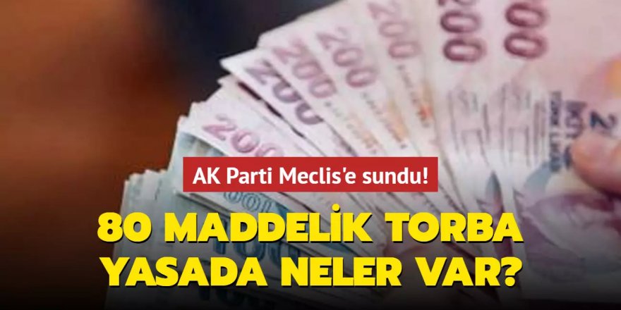 AK Parti Meclis'e sundu! 80 maddelik torba yasada neler var?