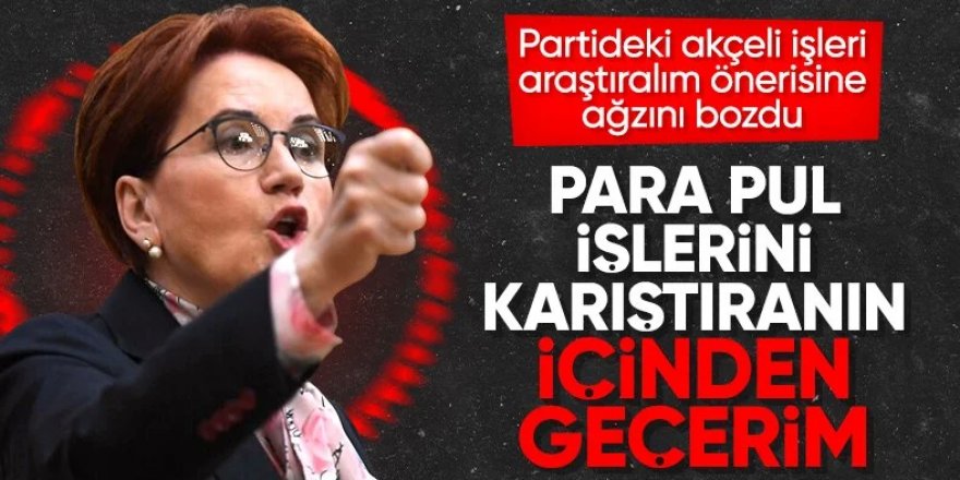 İyi Partili Arzu Önşen'in Meral Akşener'i şikayet dilekçesi ortaya çıktı!