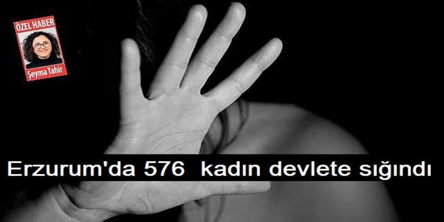 Erzurum'da 576 kadın devlete sığındı