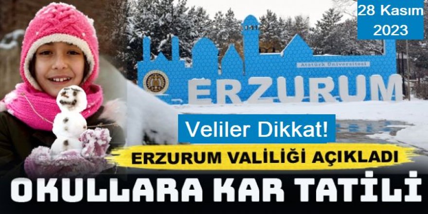 28 Kasım'da Erzurum'da kar tatili!