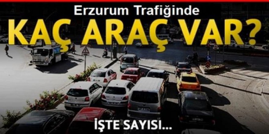 İşte Erzurum'daki araç sayısı