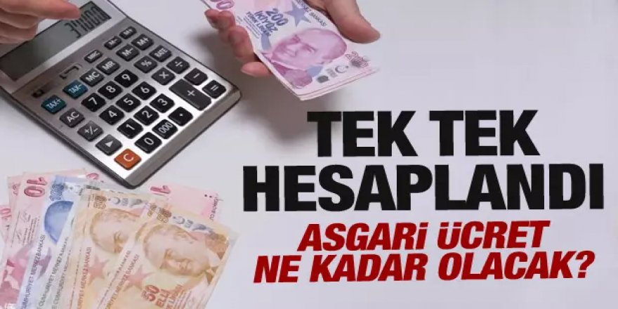 Asgari ücrette yılda bir zam dönemi! Tüm hesaplar sil baştan