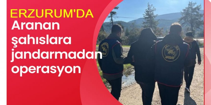 Erzurum'da jandarmadan kaçış yok: 11 zanlı yakalandı
