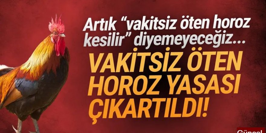 Vakitsiz öten horozlar için yasa çıkarıldı