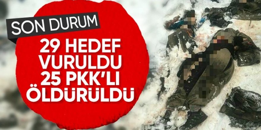 Bakan Güler: Irak ve Suriye’deki terör hedefleri kahraman pilotlarımız tarafından başarıyla vuruldular