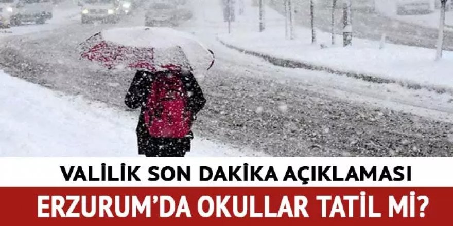 Erzurum'da eğitime 1 gün ara verildi!