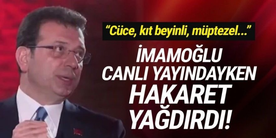 Erdoğan'ın başdanışmanı İmamoğlu'na hakaret yağdırdı