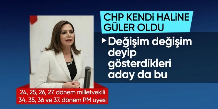 CHP'nin Tekirdağ adayı Candan Yüceer oldu