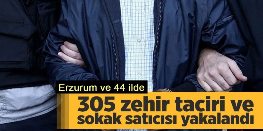 Erzurum ve $$ ilde “Narkogüç-43” operasyonlarında 305 zehir taciri yakalandı