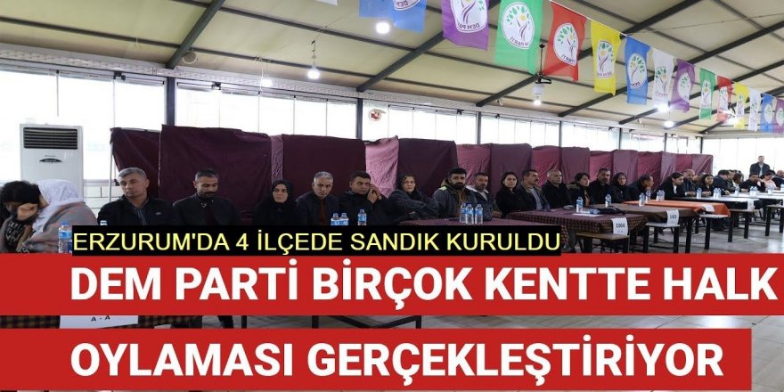 Dem, Erzurum'da 4 ilçede ön seçim yapıyor