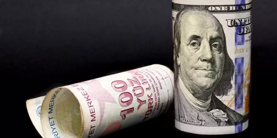 Dolar Türk Lirası karşısında 2 lira gerileyecek tahmini!