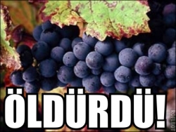 Küçük Meryem kurtarılamadı!