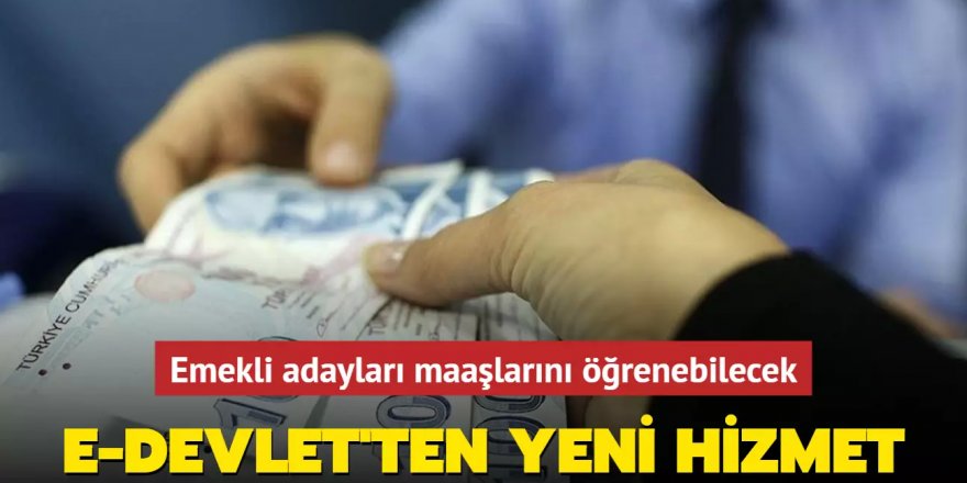 e-Devlet'ten yeni hizmet! Emekli adayları maaşlarını öğrenebilecek