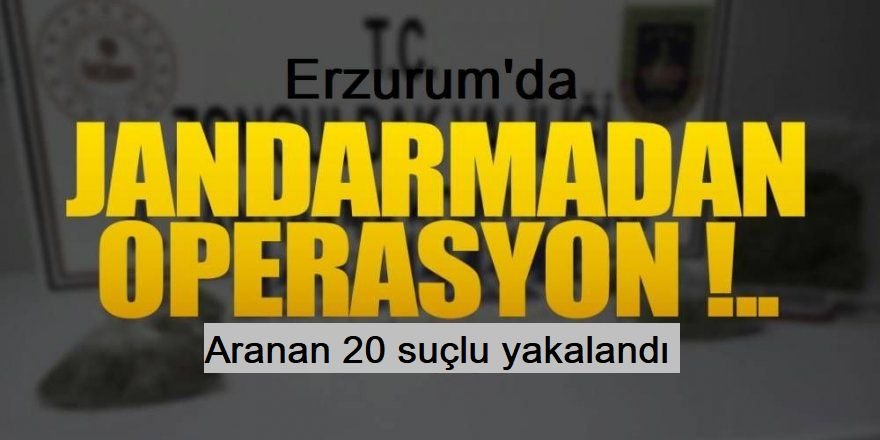 Erzurum'da jandarmadan suçlu avı