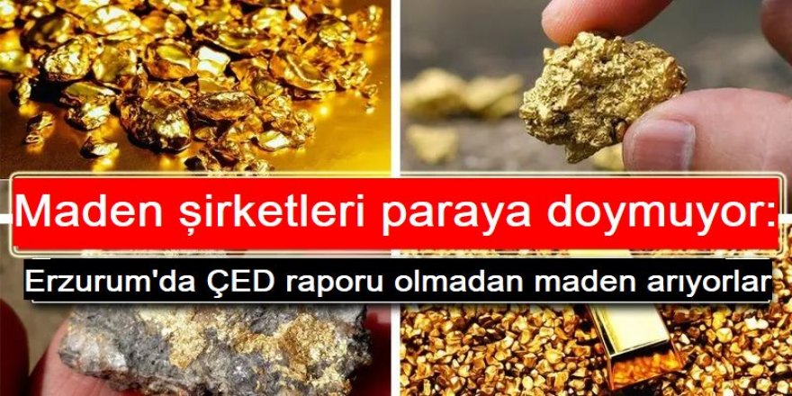Maden şirketleri paraya doymuyor: Şimdi de Erzurum'da ÇED raporu olmadan maden arıyorlar