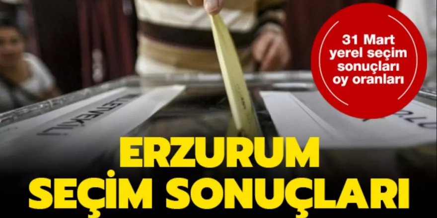 Erzurum 2019 Yerel Seçim Seçim Sonuçları