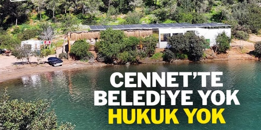 Bodrum'un 'cennet'inde belediye yok hukuk yok