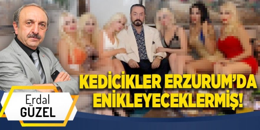 KEDİCİKLER ERZURUM’DA ENİKLEYECEKLERMİŞ!