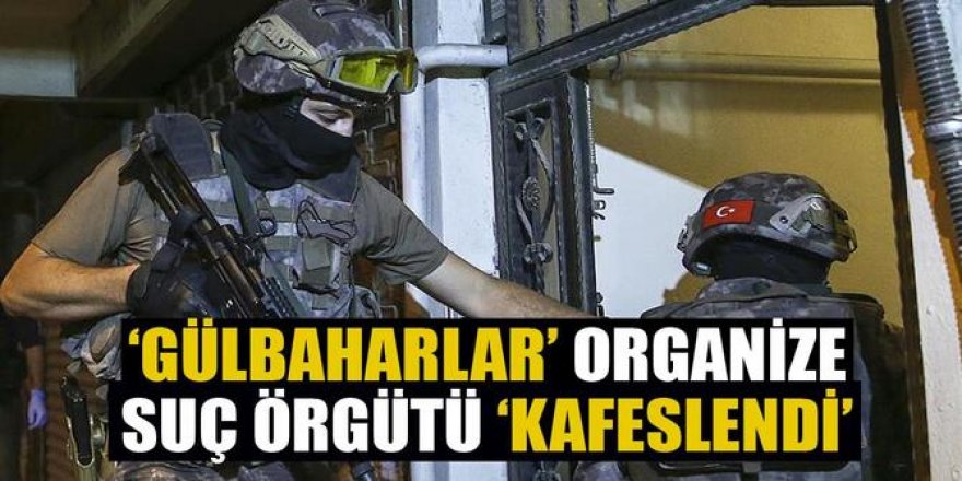 "Gülbaharlar" organize suç örgütü çökertildi: 16 gözaltı