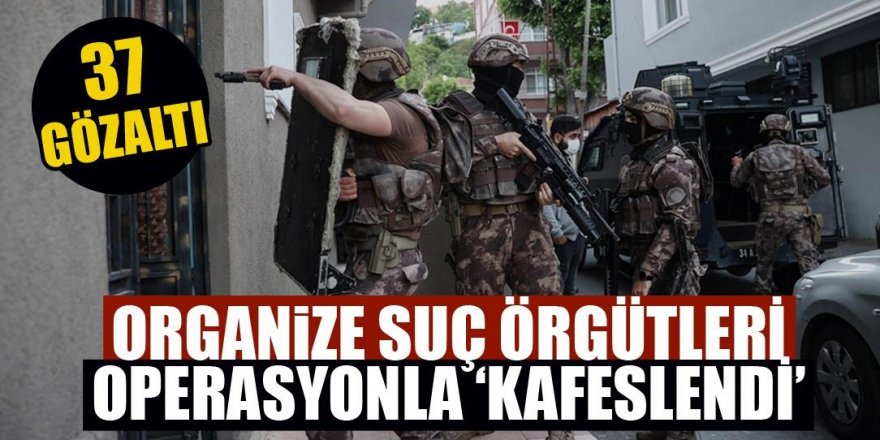 Organize suç örgütlerine "Kafes" operasyonu: 37 gözaltı