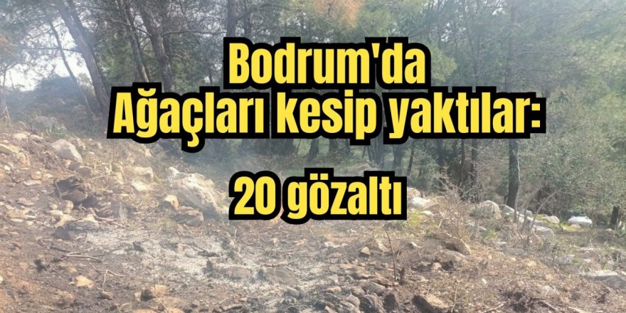 Bodrum Çiftlik'te ağaçları kesip yaktılar: 20 gözaltı