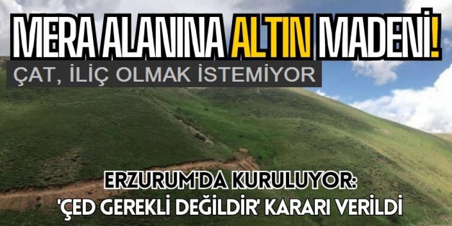 Erzurum'da Karacalılardan maden protestosu: 'Yeni İliç felaketleri yaşanmasın!'