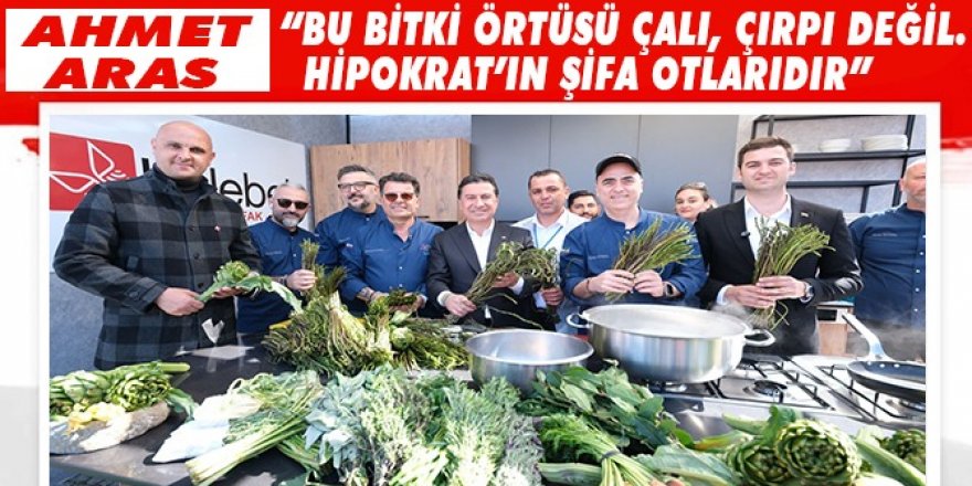 AHMET ARAS, “BU BİTKİ ÖRTÜSÜ ÇALI, ÇIRPI DEĞİL. HİPOKRAT’IN ŞİFA OTLARIDIR”