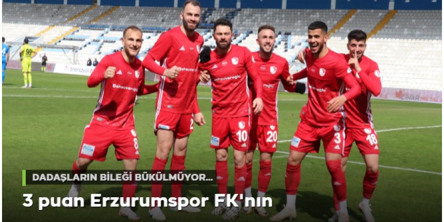 Erzurumspor FK, 3 puanı tek golle aldı