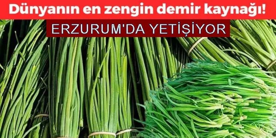 Japonların favorisi! Erzurum'da yetişiyor: Tezgâhlarda yerini aldı