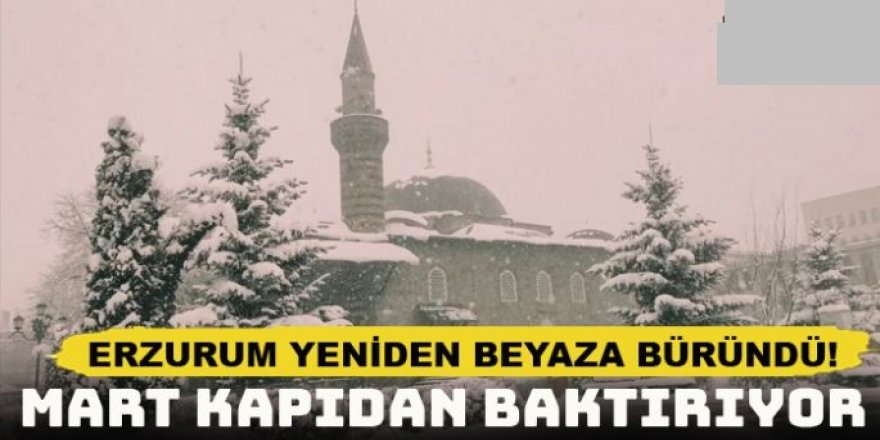 Erzurum Yeniden Beyaza Büründü