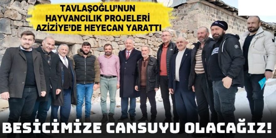 Tavlaşoğlu'nun Hayvancılık Projeleri Aziziye'de heyecan yarattı