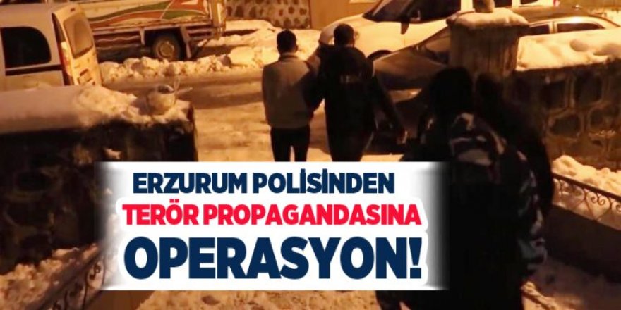 Erzurum'da terör propagandasına operasyon